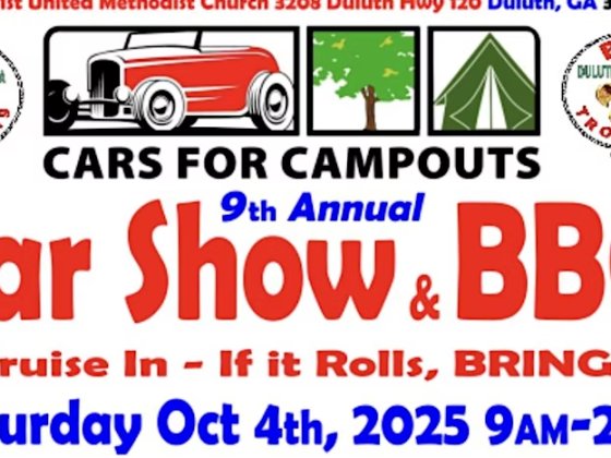 BSA 419 Cars For Campout and BBQ