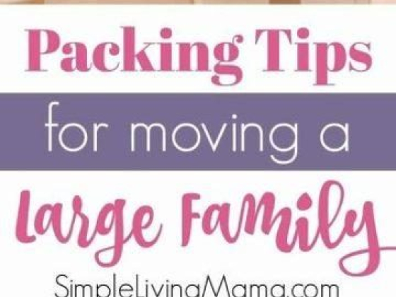 Packing Tips for Moving a Large Family