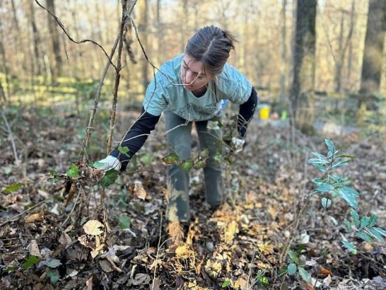Forest Restoration in Legacy Park