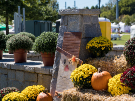 Riverfest Arts and Crafts Festival