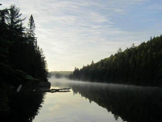A Quick Guide to Algonquin Provincial Park