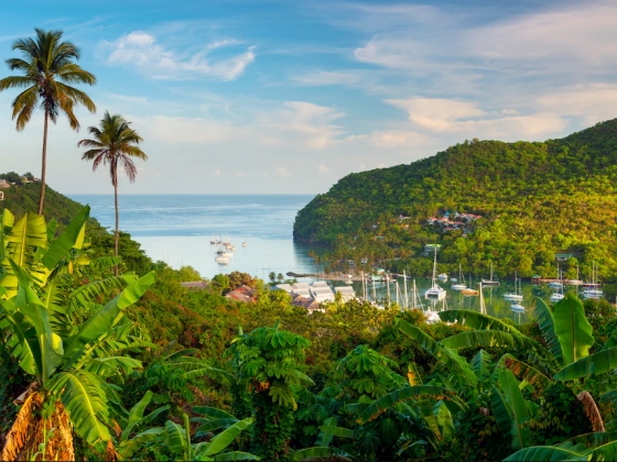 48 hours in. . . St Lucia, an insider guide to the isle of Pitons, parties and perfect beaches