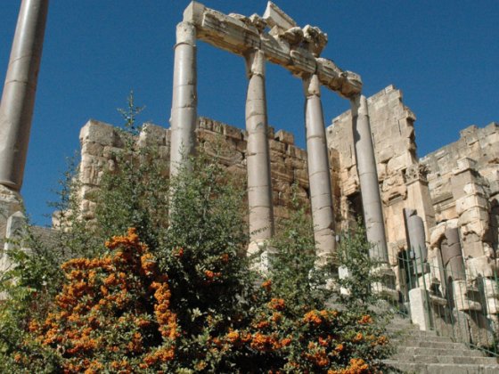 LEBANON TRAVEL ADVICE