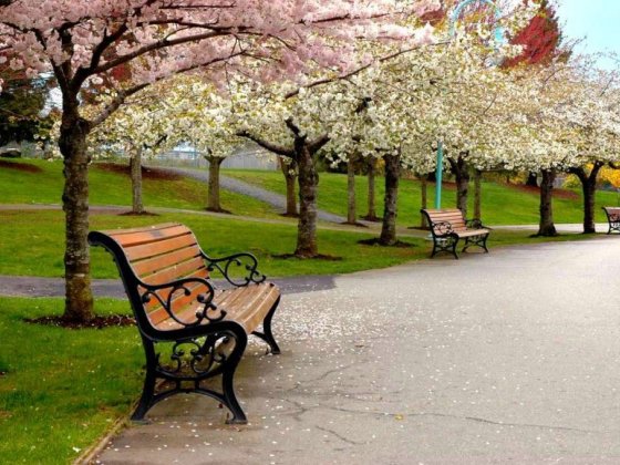 48 Hours in Nanaimo – Day 1