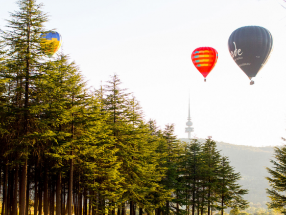 CANBERRA TRAVEL ADVICE