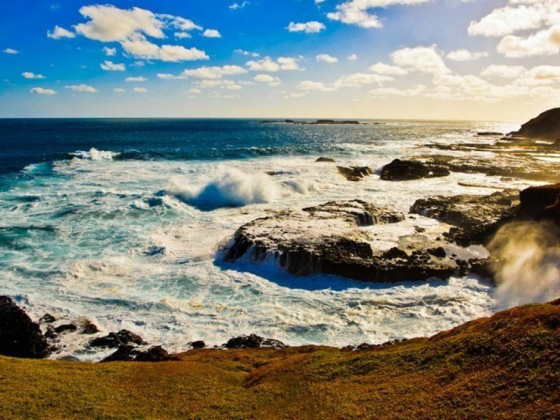 Top 10 Things To Do And See On Phillip Island, Victoria