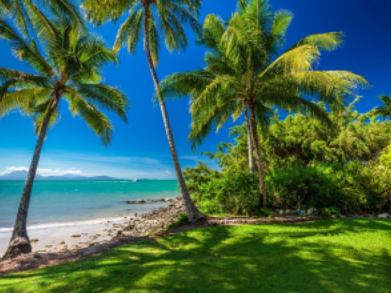 All the Unmissable Things to Do in Port Douglas