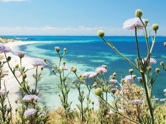 Rottnest Island Western Australia's stunning offshore paradise