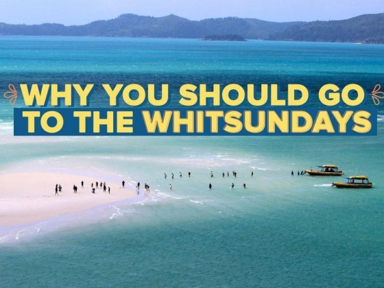 WHY YOU SHOULD GO TO THE WHITSUNDAYS
