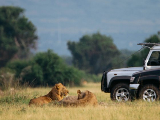 THINGS TO SEE & DO IN QUEEN ELIZABETH NP