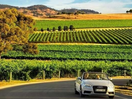 Barossa Valley: An Absolute Guide To Explore The Wine Paradise On Your Next Australian Holiday!