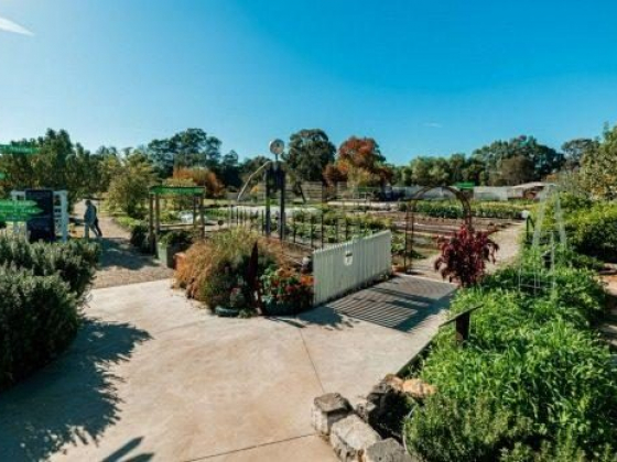 Bendigo, travel guide and things to do: Nine highlights
