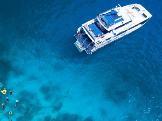 Cairns travel guide and things to do: Nine highlights