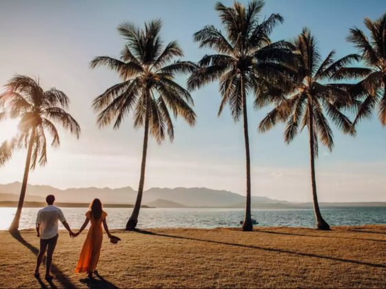 The only Port Douglas holiday planning guide you'll ever need
