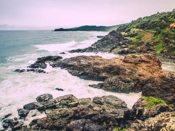 Top Tips For Fun Things To Do In Port Macquarie