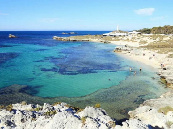 How to Plan a Perfect Day Trip to Rottnest Island in Australia