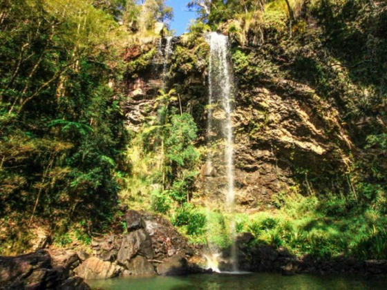 Local’s Guide To The Best Things To Do In Surfers Paradise, Australia