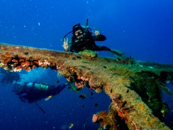 6 Different Ways to Spend a Weekend in Townsville