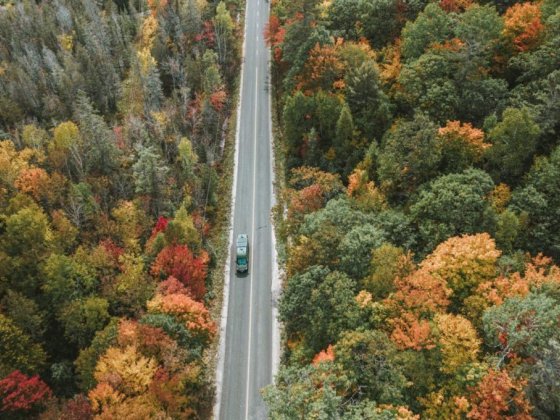 Guide To Visiting Algonquin Provincial Park, Ontario