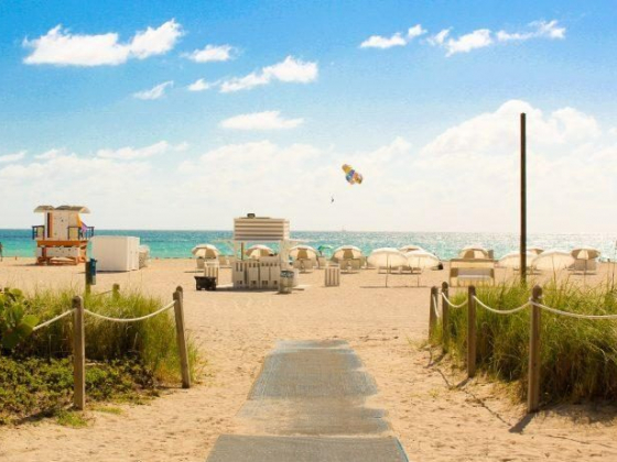 11 Top-Rated Things to Do in Hamilton | Travel Guide