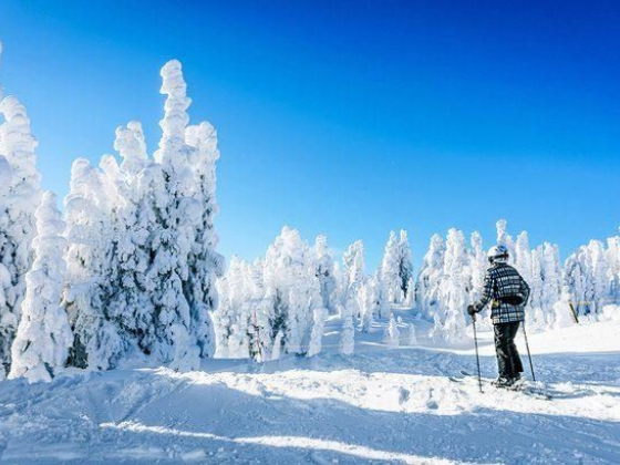 11 Top-Rated Things to Do in Kamloops, BC