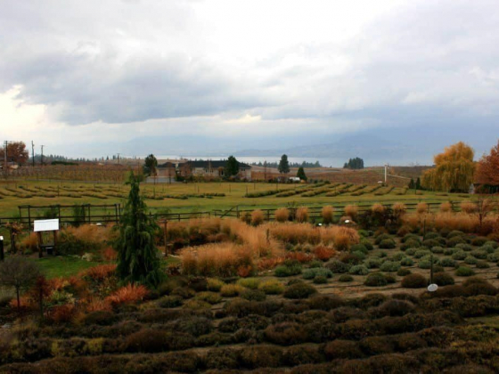 THE 20 BEST THINGS TO DO IN KELOWNA (2021 GUIDE)