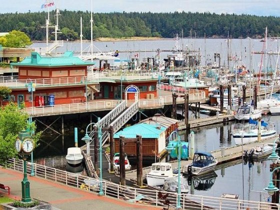 11 Top-Rated Things to Do in Nanaimo, BC