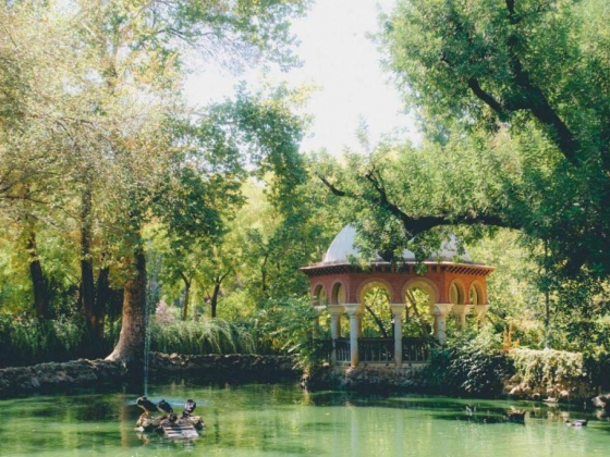 5 Best Things To Do In Seville, Spain
